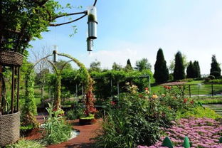 園林管理 規(guī)劃、施工與維護的綜合性藝術